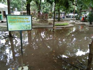 Anggota Komisi IV DPRD Medan, Dedy Aksyari Nasution ST menyayangkan Kondisi Taman Ahmad Yani, Jalan Imam Bonjol yang tergenang air pada siang hari akibat hujan