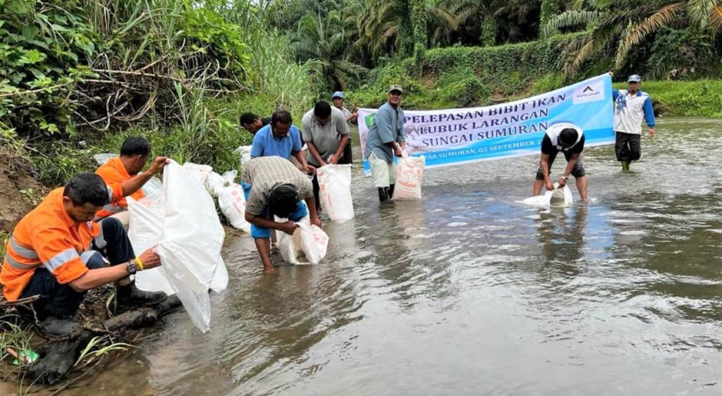 Konservasi Sungai Garoga dan Aek Ngadol, Agincourt Resources Perluas Lubuk Larangan Sepanjang 8 Kilometer