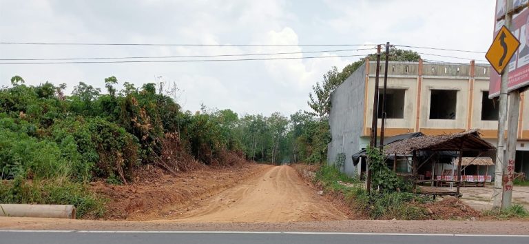 Pemdes Pulau Harapan Buka Akses Jalan Produksi