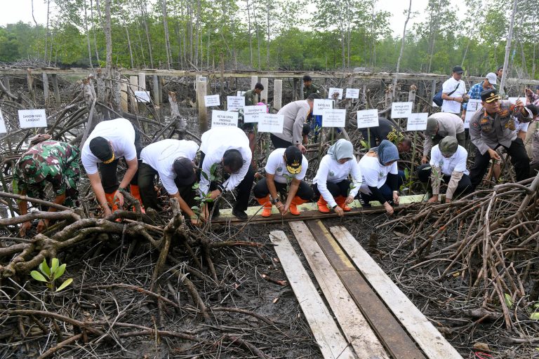 Pemprov Sumut Tanam 10 Ribu Bibit Mangrove