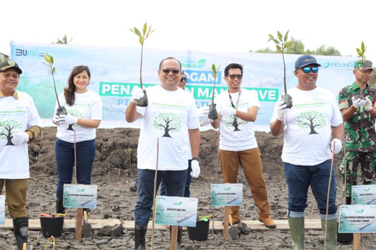 Pelindo Multi Terminal Tanam 8000 Bibit Mangrove di Kalimantan