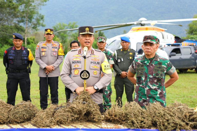 Perburuan 150 Ha Ladang Ganja oleh Polda Sumut Gunakan Teknologi Citra Satelit