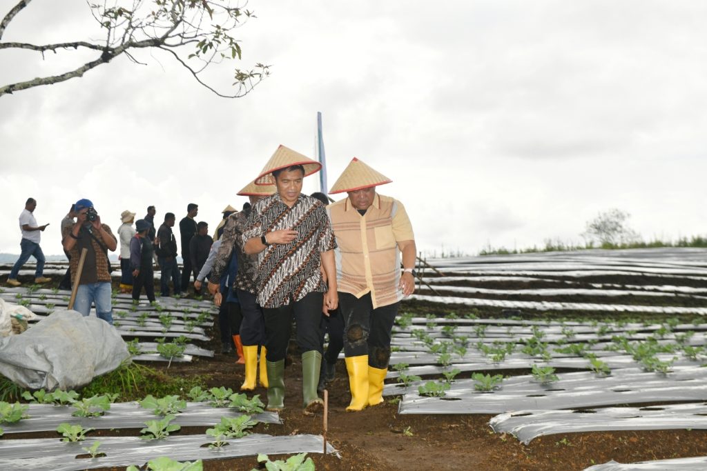 Pj Gubernur Sumut Optimis Dairi Bisa Jadi Lumbung Pangan