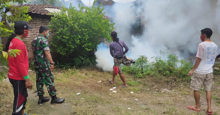 Babinsa Koramil Ngimbang Bersama Warga Gencarkan Fogging