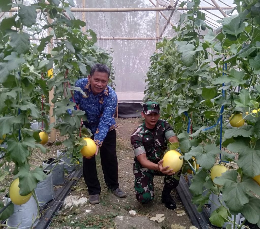 Komsos dengan Perangkat Desa, Babinsa Turi Pakai Cara Unik