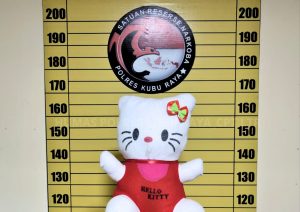 Boneka Hello Kitty Jadi Modus Penyelundupan Sabu Antar Provinsi