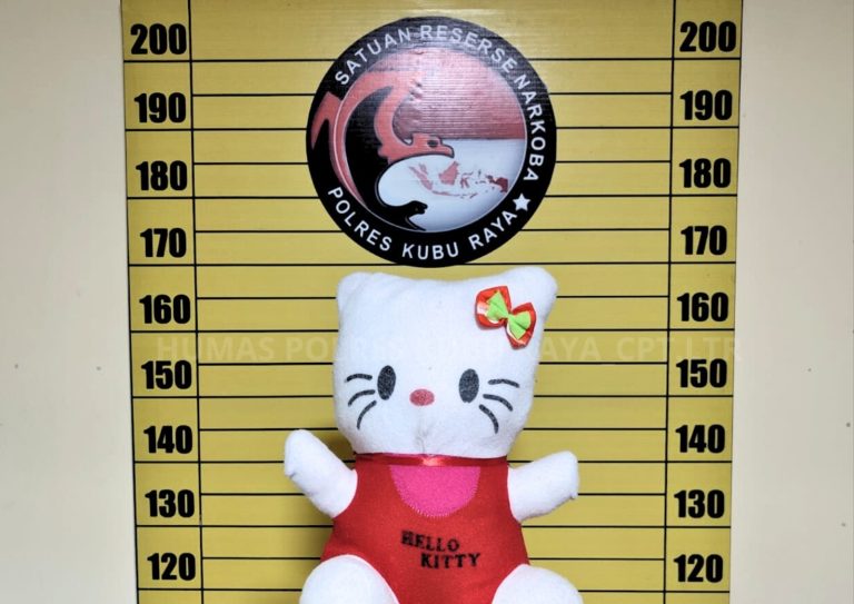 Boneka Hello Kitty Jadi Modus Penyelundupan Sabu Antar Provinsi