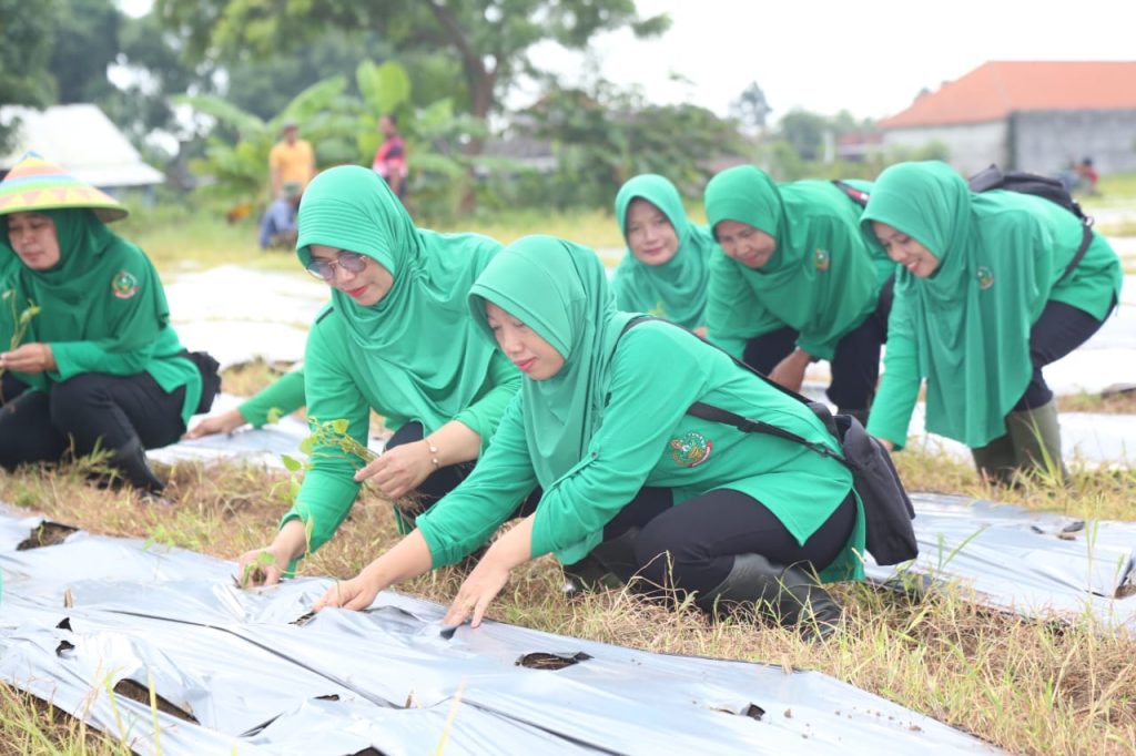 Persit Kodim Lamongan Manfaatkan Lahan Kosong