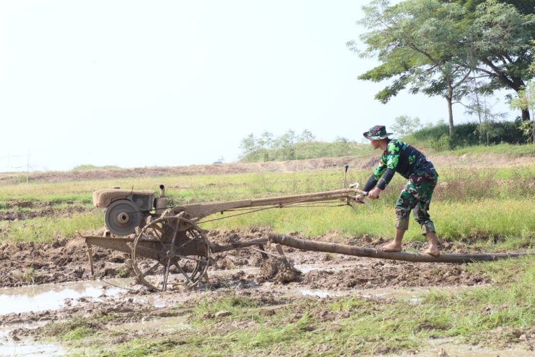 Perwira Menengah TNI-AD Terjun Langsung Siapkan Lahan Pertanian Seorang Diri