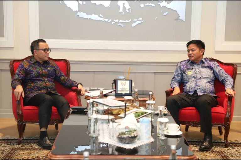 Pj Gubernur Sumut Diskusi dengan Menpan RB, Bahas Penguatan Reformasi Birokrasi