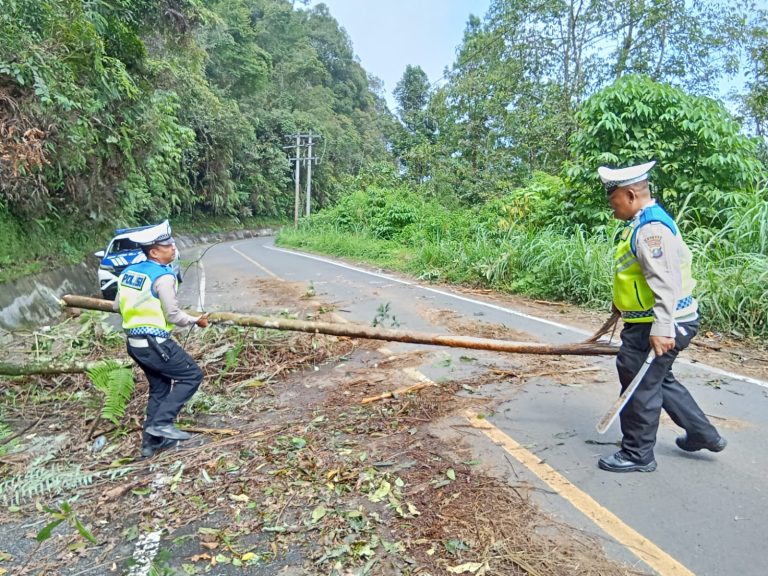 Polres Pakpak Bharat evakuasi Pohon Tumbang Melintang di Jalan