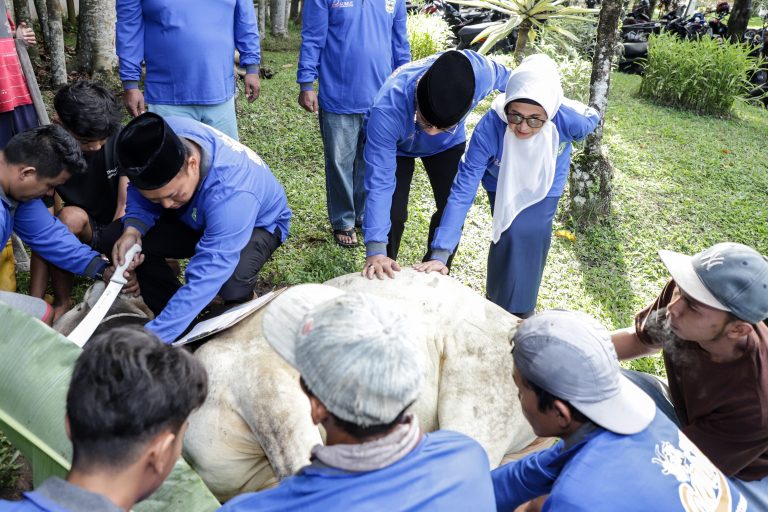 Pemko Siantar Sembelih 7 Ekor Sapi Pasca Idul Adha 1445 H