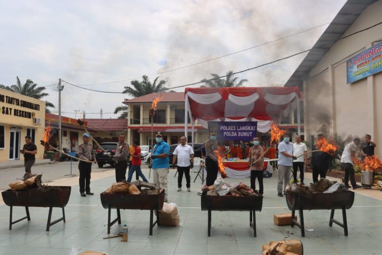 Polres Langkat Musnahkan Ganja Kering