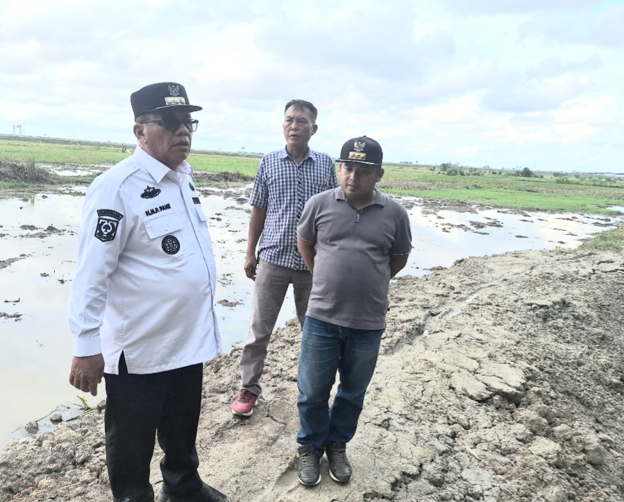 Pjs Bupati Sergai Respon Cepat Tinjau Tanggul Jebol di Sungai Sei Putih