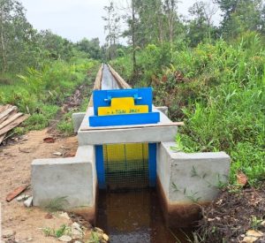 Kelompok P3A Radak Mulya Desa Radak Dua Apresiasi Program P3-TGAI