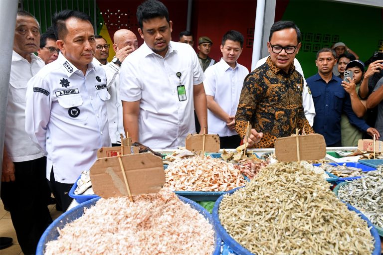 Pj Gubernur Sumut Agus Fatoni Bersama Wamendagri Bima Arya Tinjau Pasar di Medan