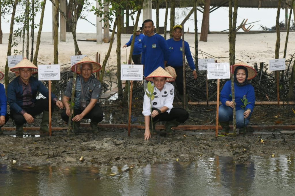 Pj Gubernur Sumut Tanam Pohon Mangrove yang Diberkati Paus Fransiskus di Pantai Romantis