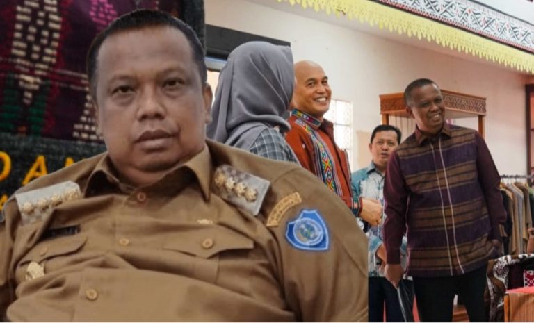 Peran Mulyadi Simatupang dalam Mendorong UMKM Berdaya Saing Global