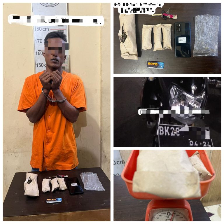 Polisi Amankan Pengedar Ganja di Pangkalan Susu Langkat