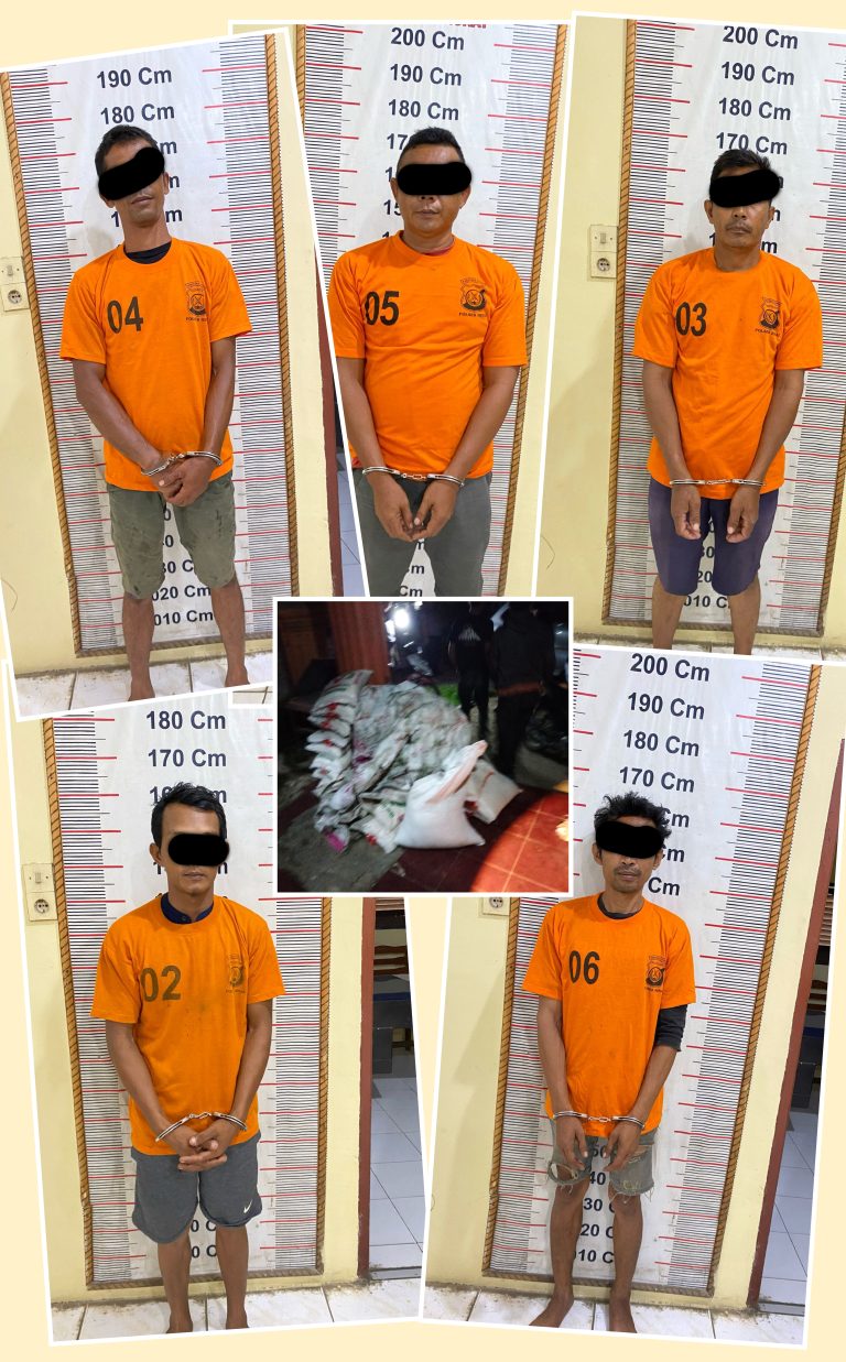5 Pelaku Curi Beras Puluhan Karung Diamankan Polsek Hinai