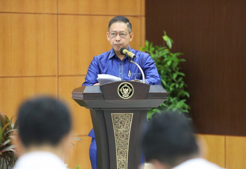 Laporan Hasil Pemeriksaan atas Laporan Keuangan Pemerintah Daerah Tahun 2024