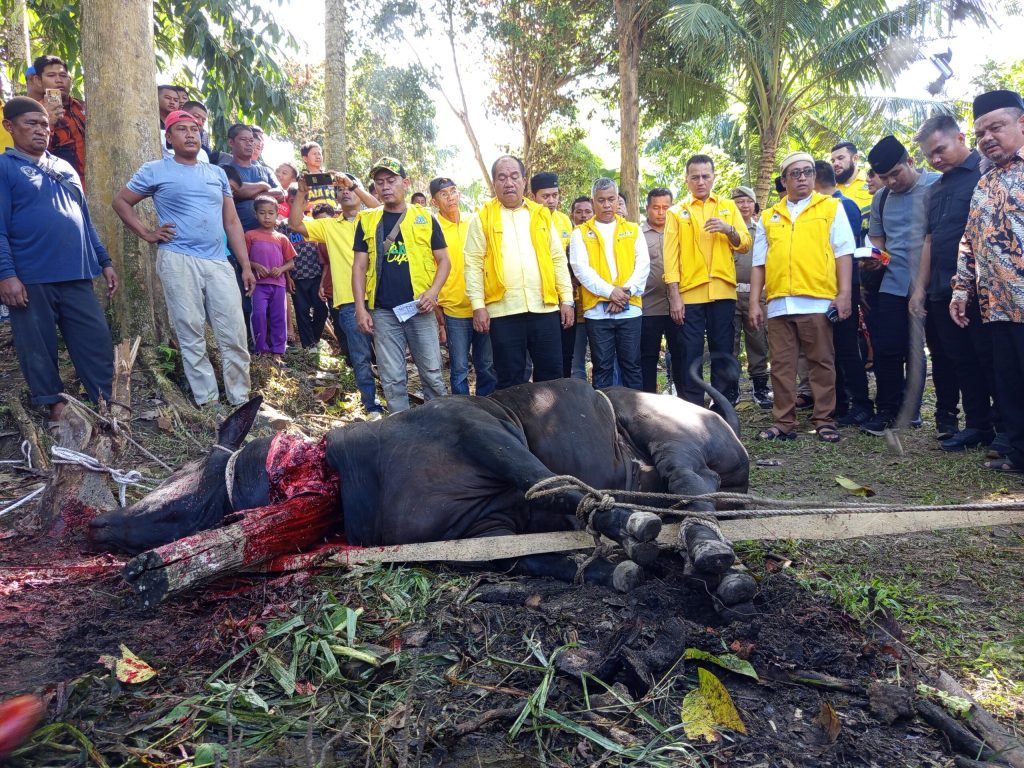 Bupati Asahan Hadiri Penyembelihan Hewan Qurban DPD Partai Golkar Provsu