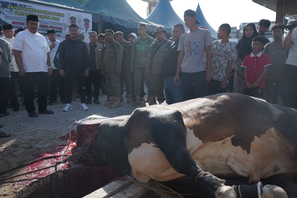 Bupati Asahan Serahkan Hewan Qurban Presiden Prabowo ke Masjid Raya Kisaran
