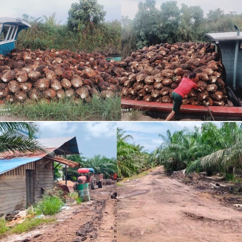 PT Punggur Alam Lestari Klarifikasi Isu Lahan Plasma