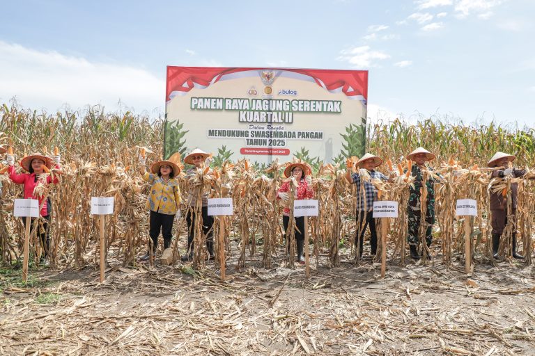 Pemko Siantar Ikuti Kegiatan Panen Jagung Serentak Kuartal II
