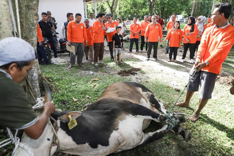 Walkot Wesly Sembelih Hewan Qurban Sambut Idul Adha di Rumah Dinas