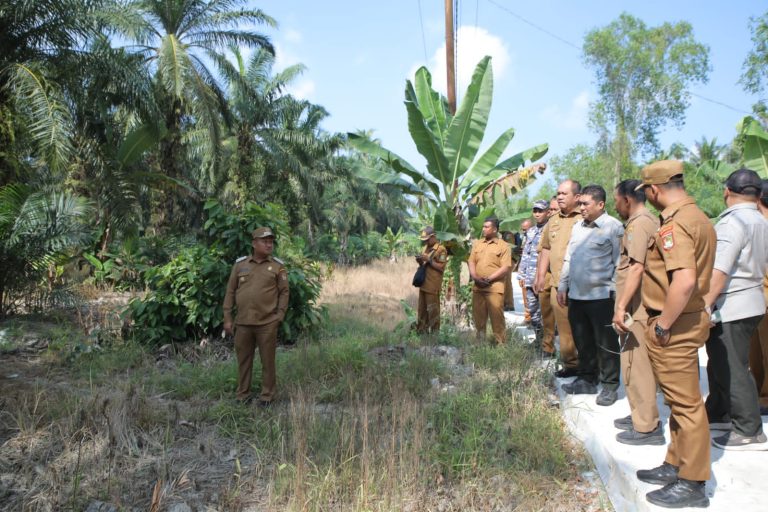 Bupati Asahan Dampingi Plt Dirjen Perkebunan Kementan RI Tinjau Lokasi Cetak Sawah
