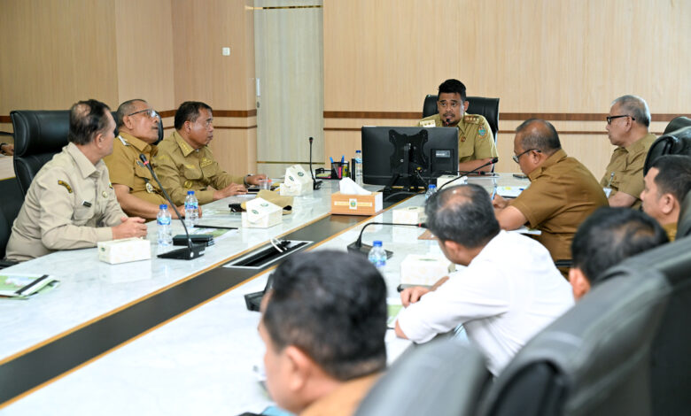 Gubernur Bobby Nasution Serius Tangani Hama Lalat Buah