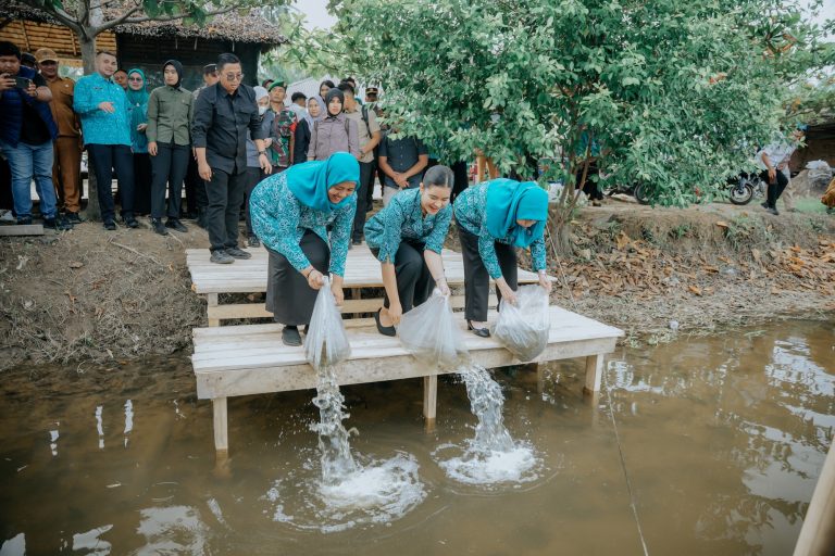 Kahiyang Ayu Tabur 15.000 Benih Ikan