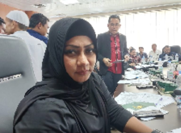 Lailatul Badri Ajak Sesama Anggota DPRD Medan Bentuk Pansus Reklame