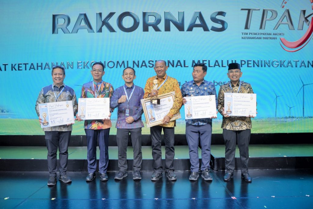 Bupati Simalungun Terima Piagam Penghargaan TPAKD Terbaik