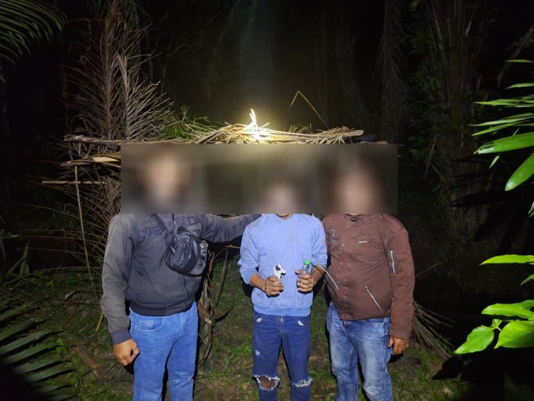 Polsek Salapian Ungkap Kasus Narkotika