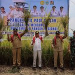 Wagub Surya hadiri Panen Raya Padi di Karo