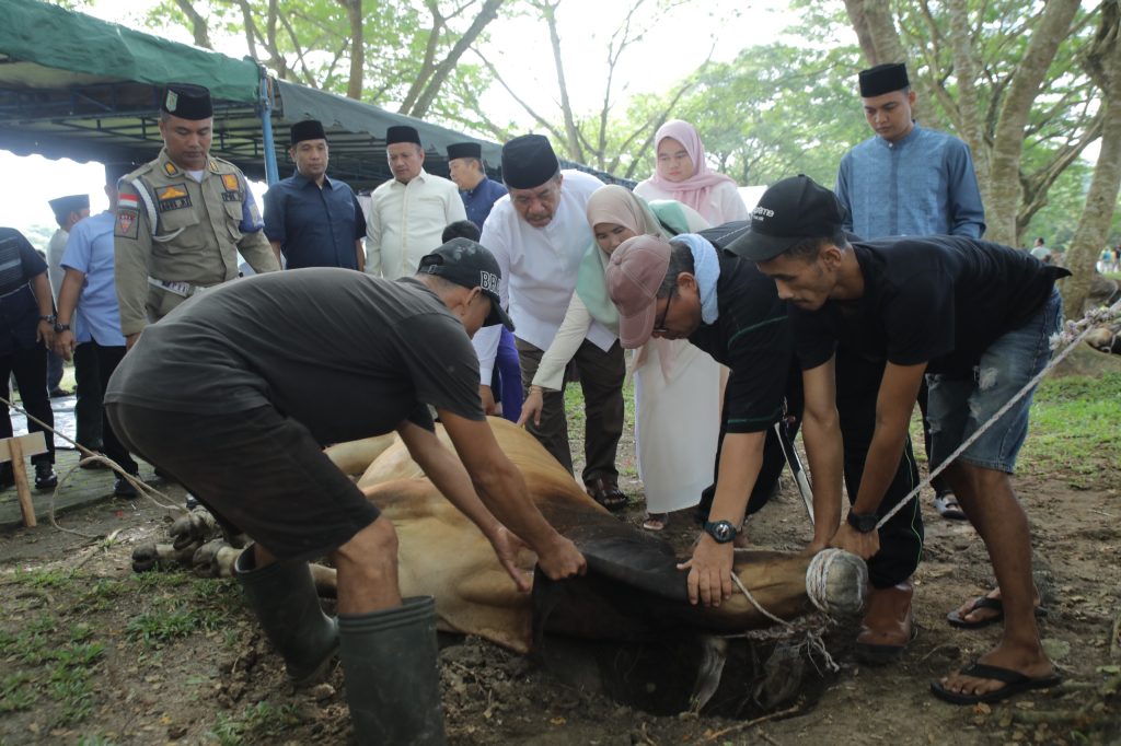 Pemkab Asahan Semarakkan Idul Adha dengan Menyembelih 101 Hewan Qurban