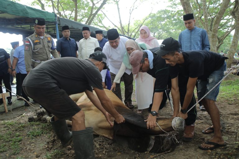 Pemkab Asahan Semarakkan Idul Adha dengan Menyembelih 101 Hewan Qurban